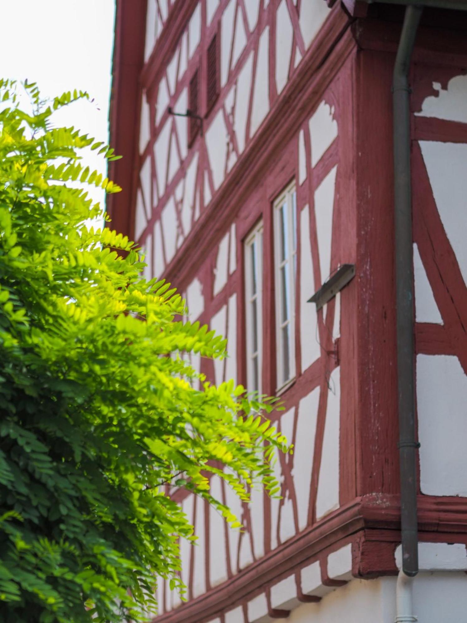 Weinstrasse No 8 "Einfach-Gut-Uebernachten" 莱因斯韦勒 外观 照片